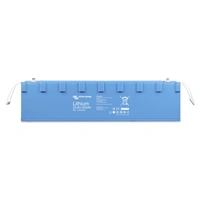 Victron Energy Solarakku LiFePO 4 300Ah 1St. Victron Energy Solarakku LiFePO 4 300Ah 1St.