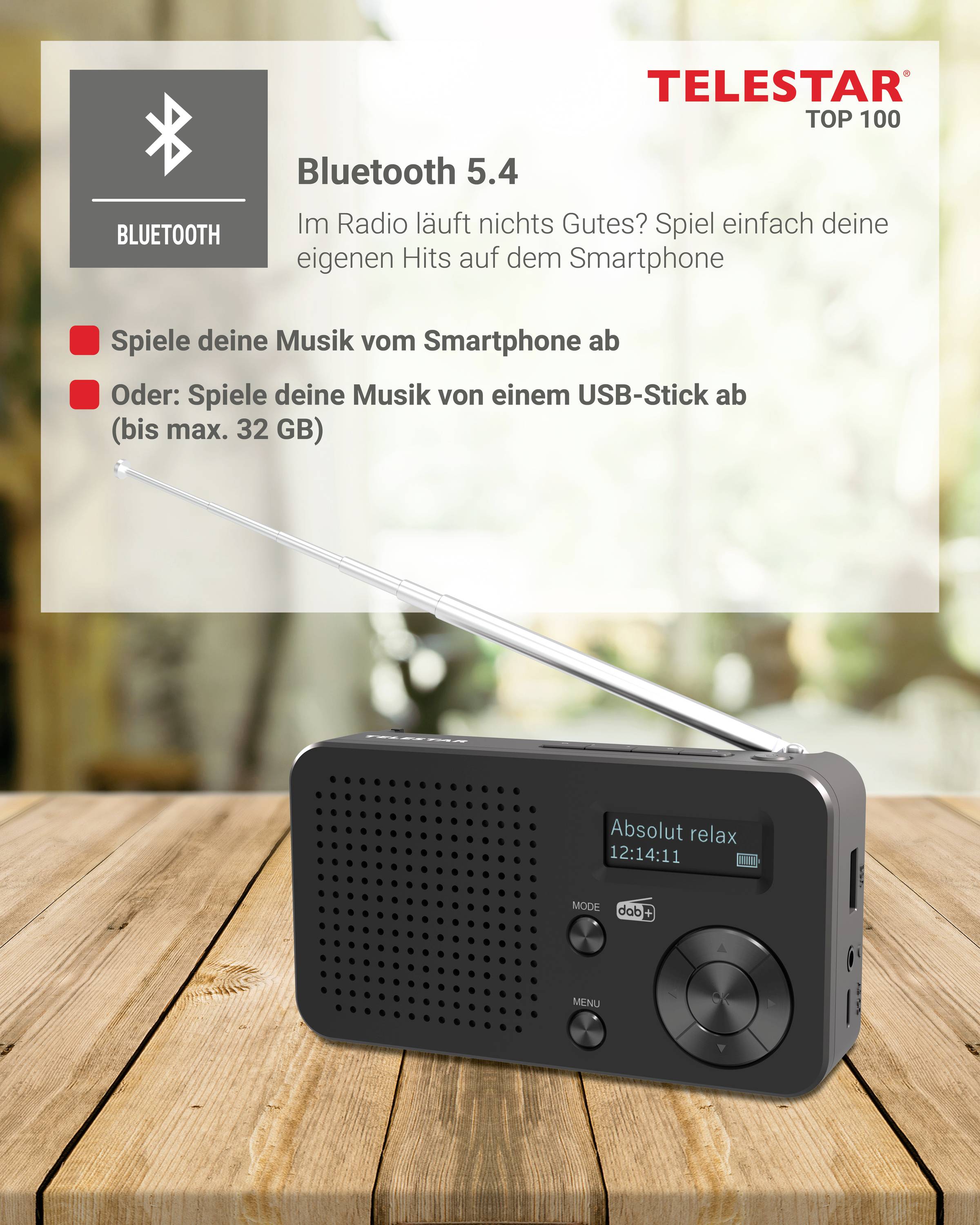 Telestar TELESTAR TOP 100 Schwarz Akku-Radio DAB+, UKW Bluetooth®, USB Akku-Ladefunktion, wiederaufladbar, Weckfunktion Schwarz