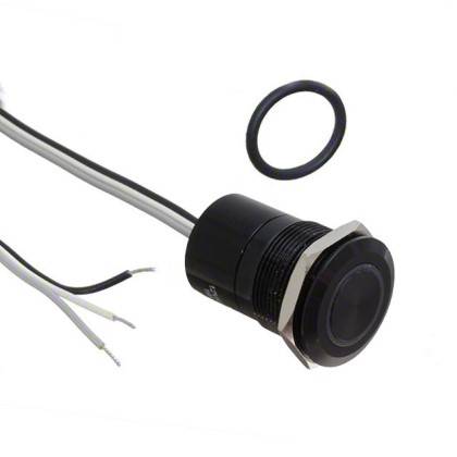 Ein schwarzer ringförmiger Drucktaster mit angeschlossenen Kabeln, der für elektronische Geräte verwendet wird. Ein O-Ring liegt daneben, wahrscheinlich zur Abdichtung.