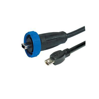 Nahaufnahme von zwei schwarzen Kabeln mit Anschlüssen; eines hat eine blaue Gummiummantelung, das andere ist ein Standard-USB-Anschluss.