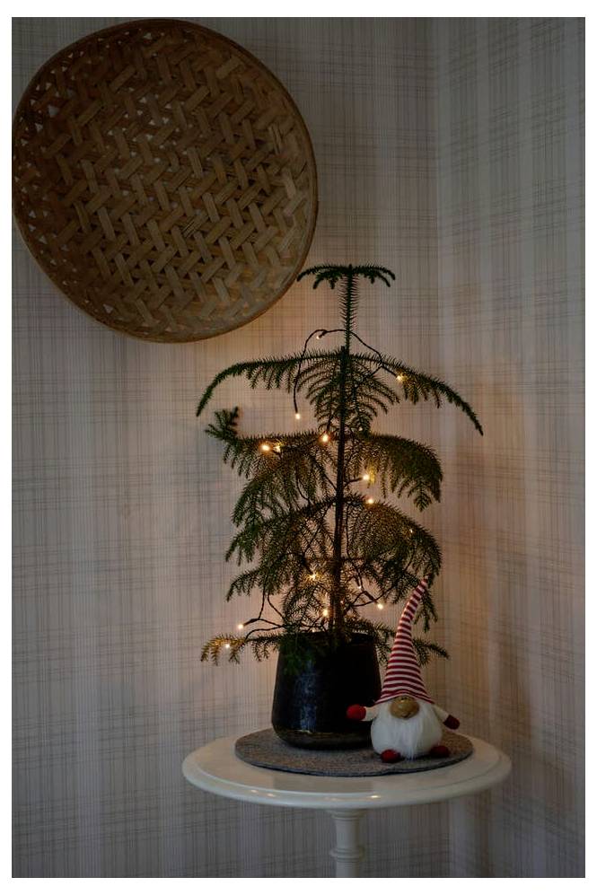 Ein kleiner immergrüner Baum mit leuchtenden Lichtern steht auf einem weißen Tisch neben einer Gnom-Figur; ein geflochtener Korb hängt an der Wand darüber.