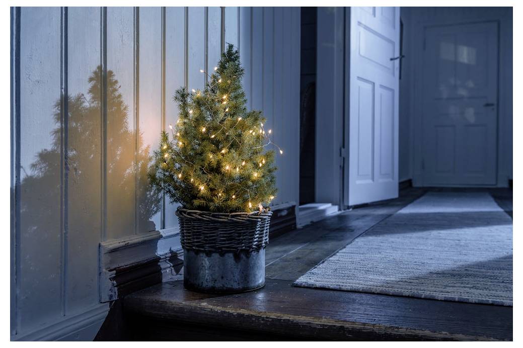 Ein kleiner, beleuchteter Weihnachtsbaum in einem Korb steht auf einem Holzboden neben einem Türrahmen und wirft einen warmen Schein und Spiegelung an die Wand.