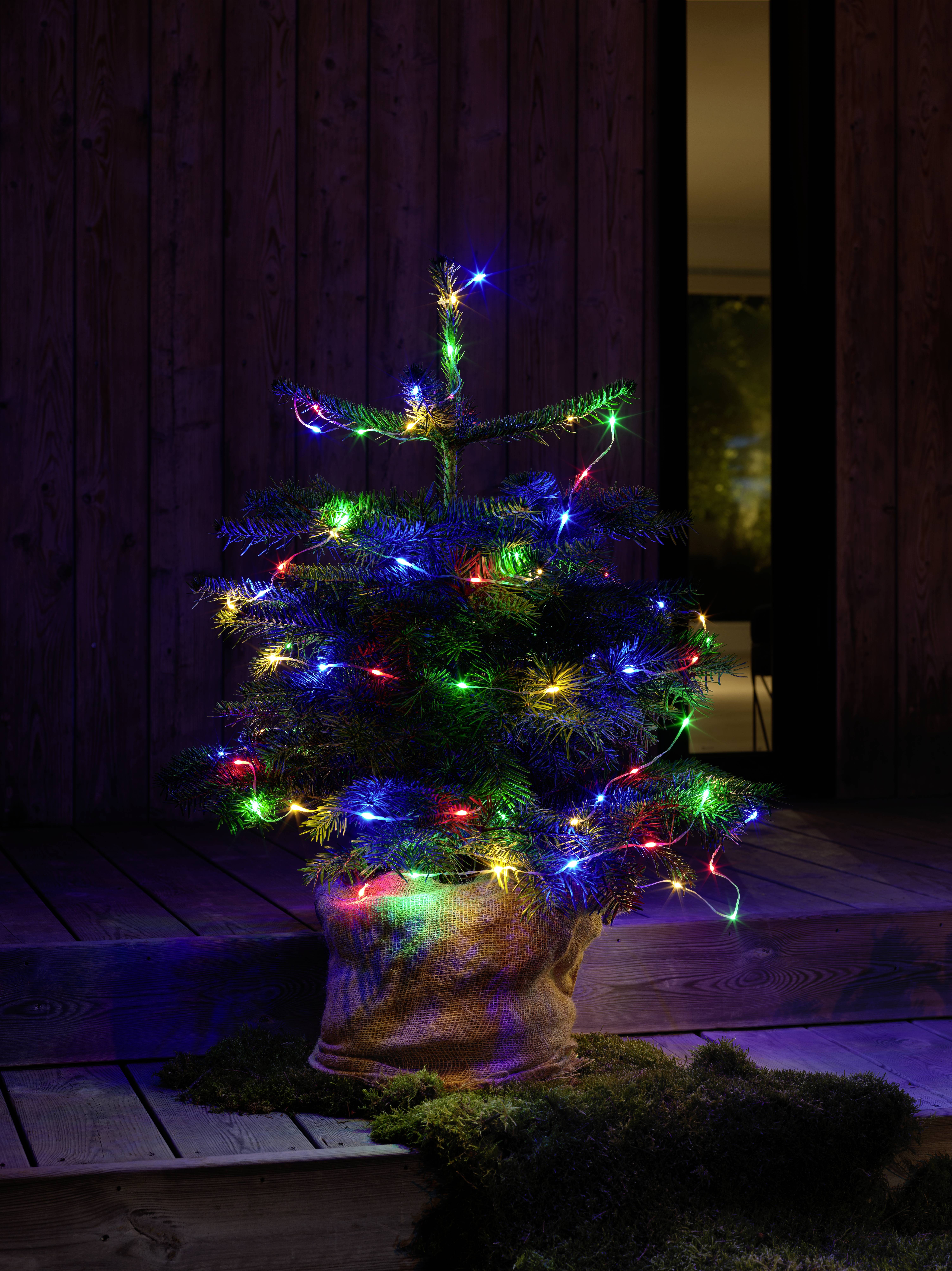 Kleiner Weihnachtsbaum auf einer Holzveranda, geschmückt mit bunten, leuchtenden Lichterketten, die eine festliche Atmosphäre schaffen.