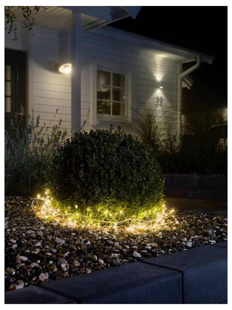 Ein kleiner Strauch in einem Blumenbeet ist mit leuchtenden Lichterketten umwickelt und beleuchtet den Bereich. Ein Haus mit erleuchteten Fenstern befindet sich im Hintergrund.