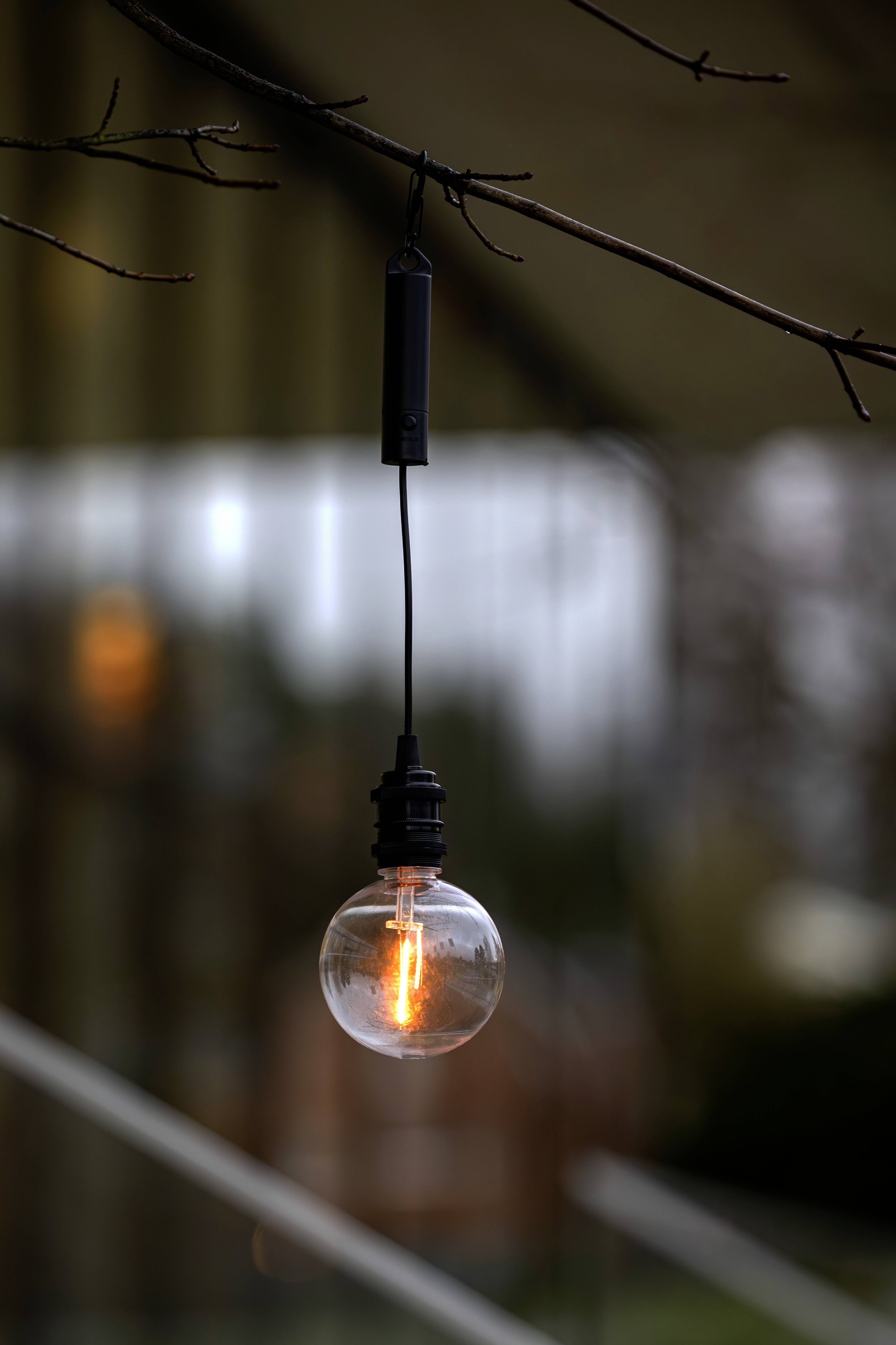 Eine beleuchtete Edison-Glühbirne hängt von einem Baumast im Freien und sorgt für warmes Ambiente-Licht vor einem unscharfen Hintergrund eines Gebäudes.
