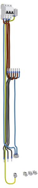 Elektrisches Schaltplan, der farbcodierte Kabel zeigt, die an einen Sicherungsautomaten angeschlossen sind. Die Kabel sind braun, blau, schwarz und gelb-grün.