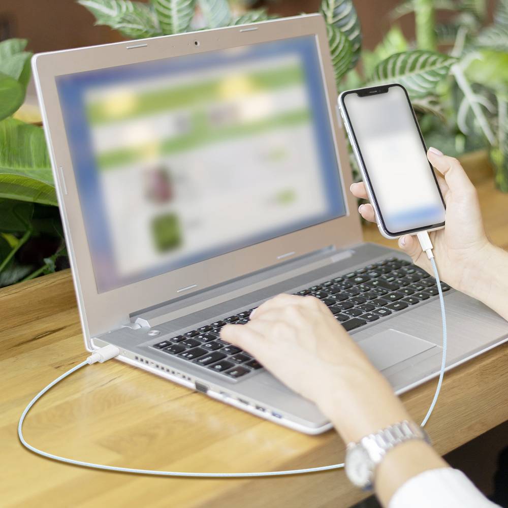 Eine Person verbindet ein Smartphone mit einem Laptop über ein Ladekabel, wobei eine unscharf dargestellte Website auf dem Bildschirm zu sehen ist und Pflanzen im Hintergrund stehen.
