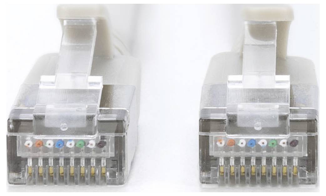 Zwei durchsichtige Ethernet-Kabelstecker mit sichtbaren farbigen Leitungen, nebeneinander vor einem weißen Hintergrund positioniert.