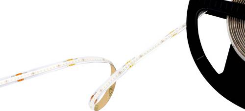 Barthelme 51542730 LED-Streifen mit Lötanschluss 24 V/DC 5000 mm Weiß 5 m