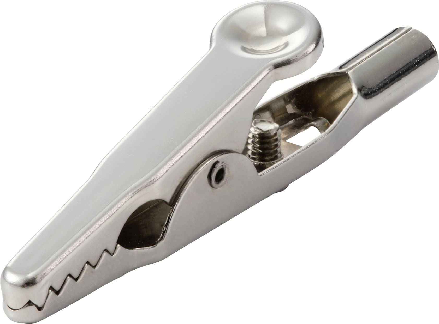 Eine Metallkrokodilklemme mit gezahnten Backen, die üblicherweise in elektrischen Schaltkreisen verwendet wird, um vorübergehende Verbindungen herzustellen.