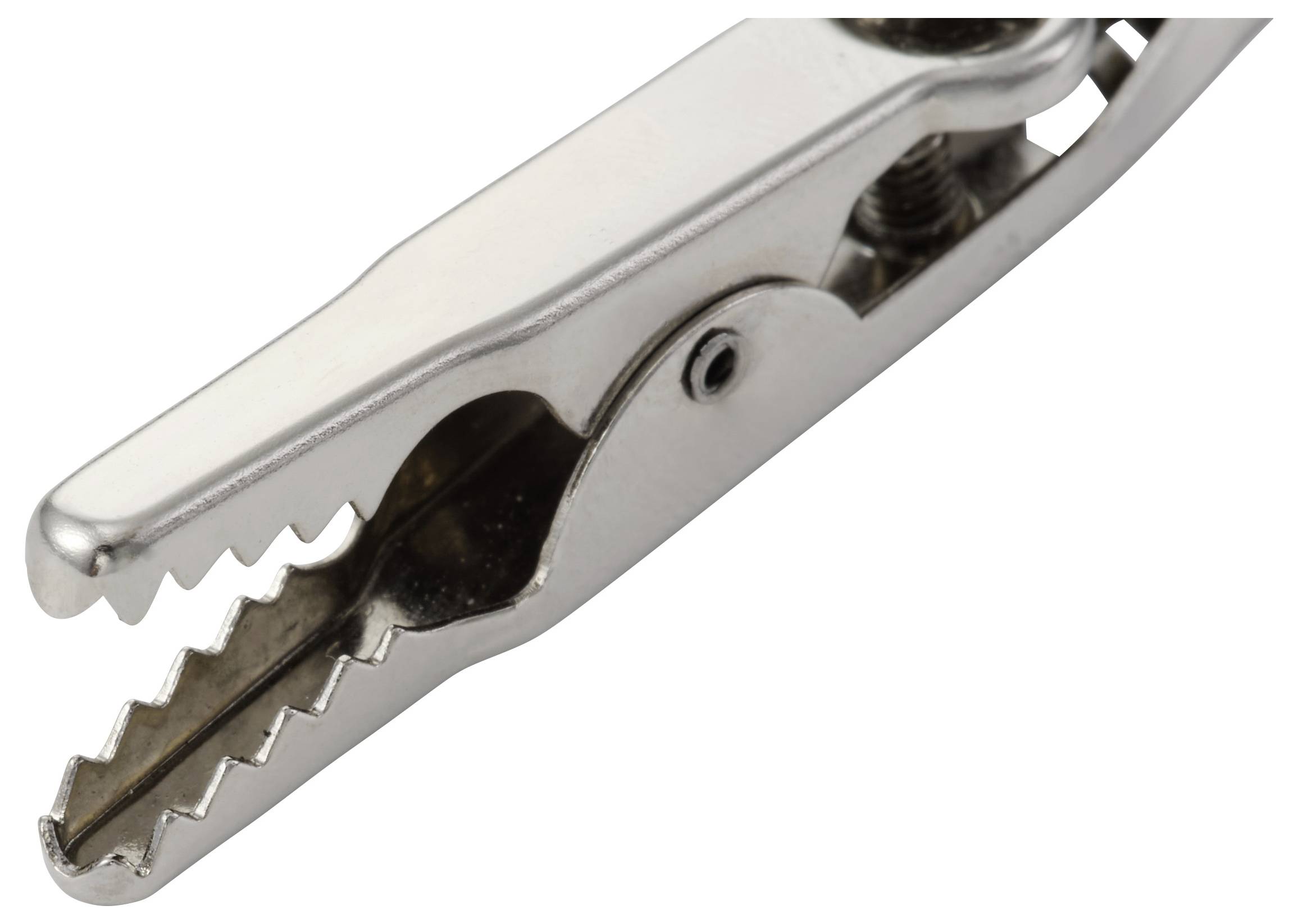 Eine Nahaufnahme einer Metallkrokodilklemme mit gezahnten Backen, die üblicherweise für elektrische Verbindungen verwendet wird.