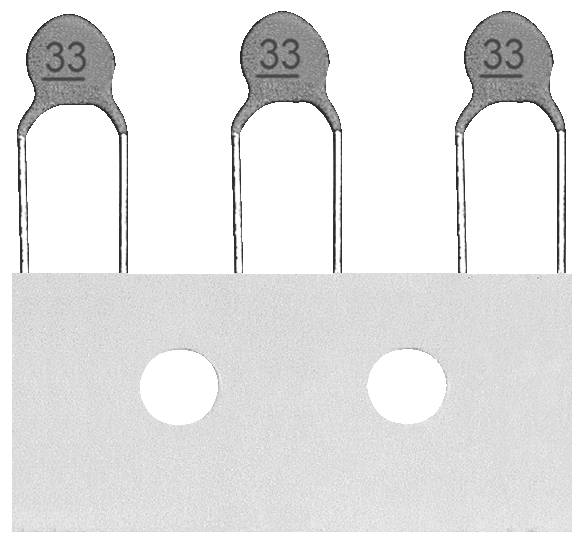 RICHWELL Keramik-Kondensator radial bedrahtet 100 V/DC 20%