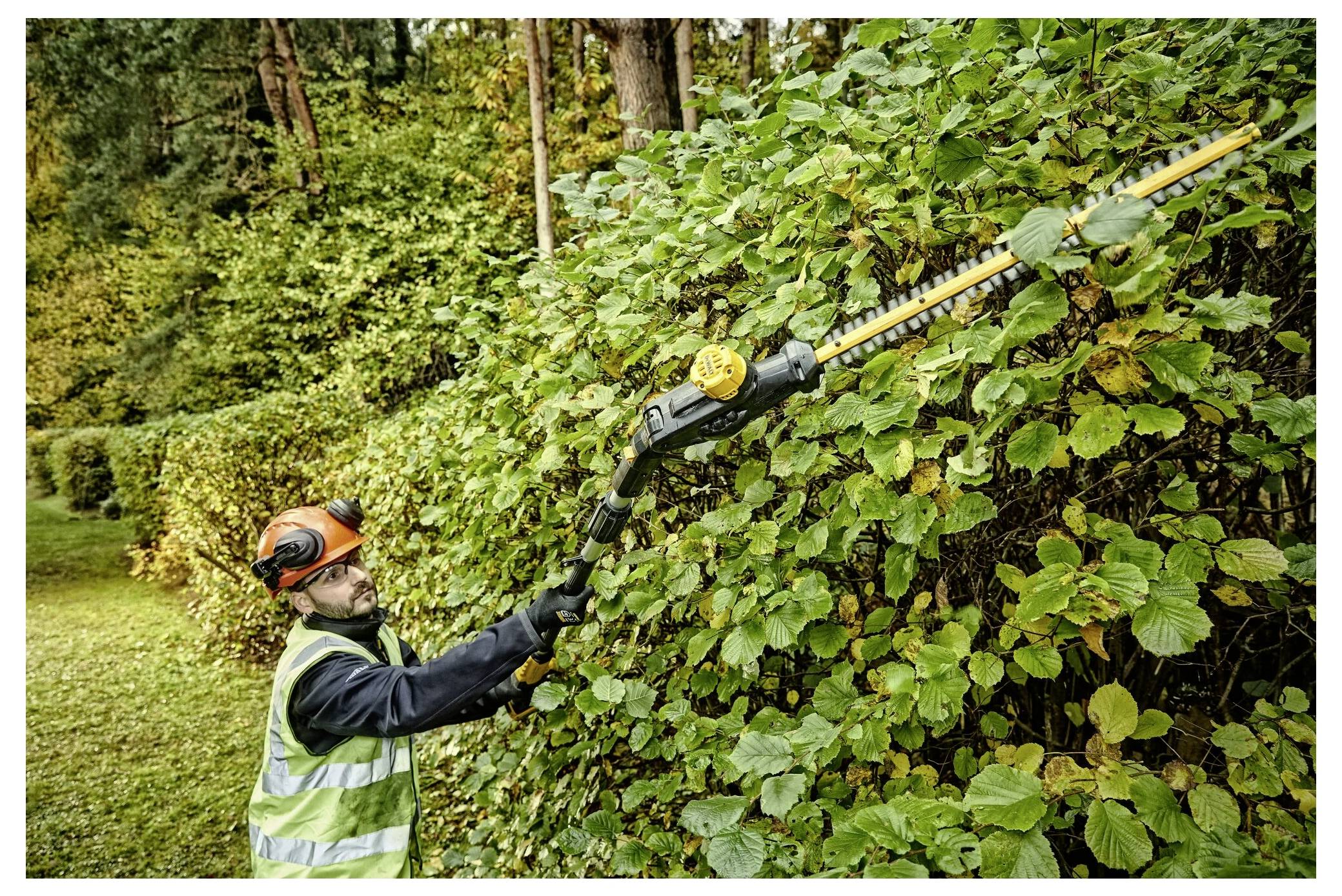 Eine Person in Schutzausrüstung verwendet eine Heckenschere, um hohe, dichte Hecken in einem von Bäumen umgebenen Garten zu schneiden.