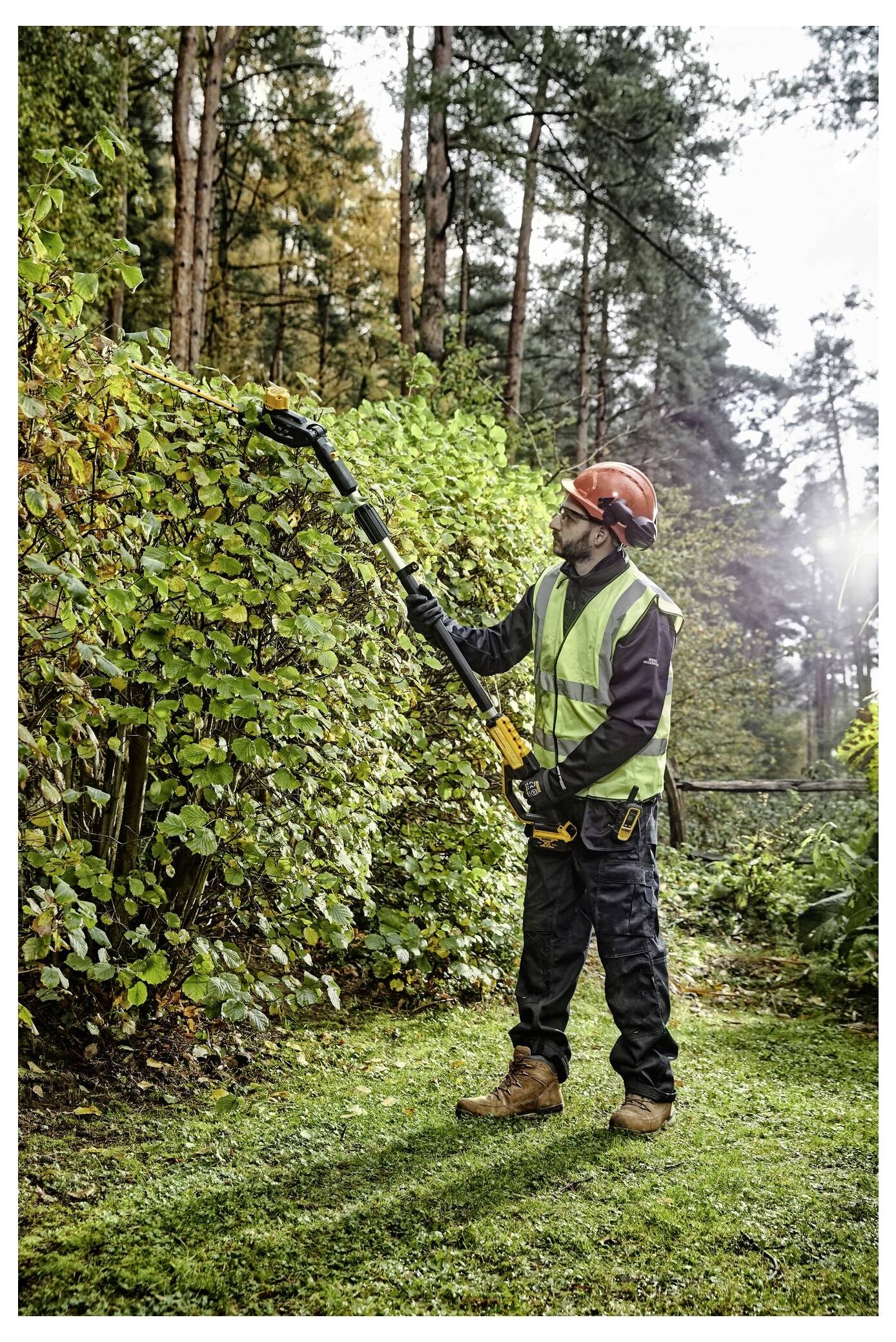 Ein Arbeiter in Schutzausrüstung schneidet eine hohe Hecke mit einem elektrischen Heckenschneider in einem bewaldeten Gebiet, umgeben von Bäumen und Gras.