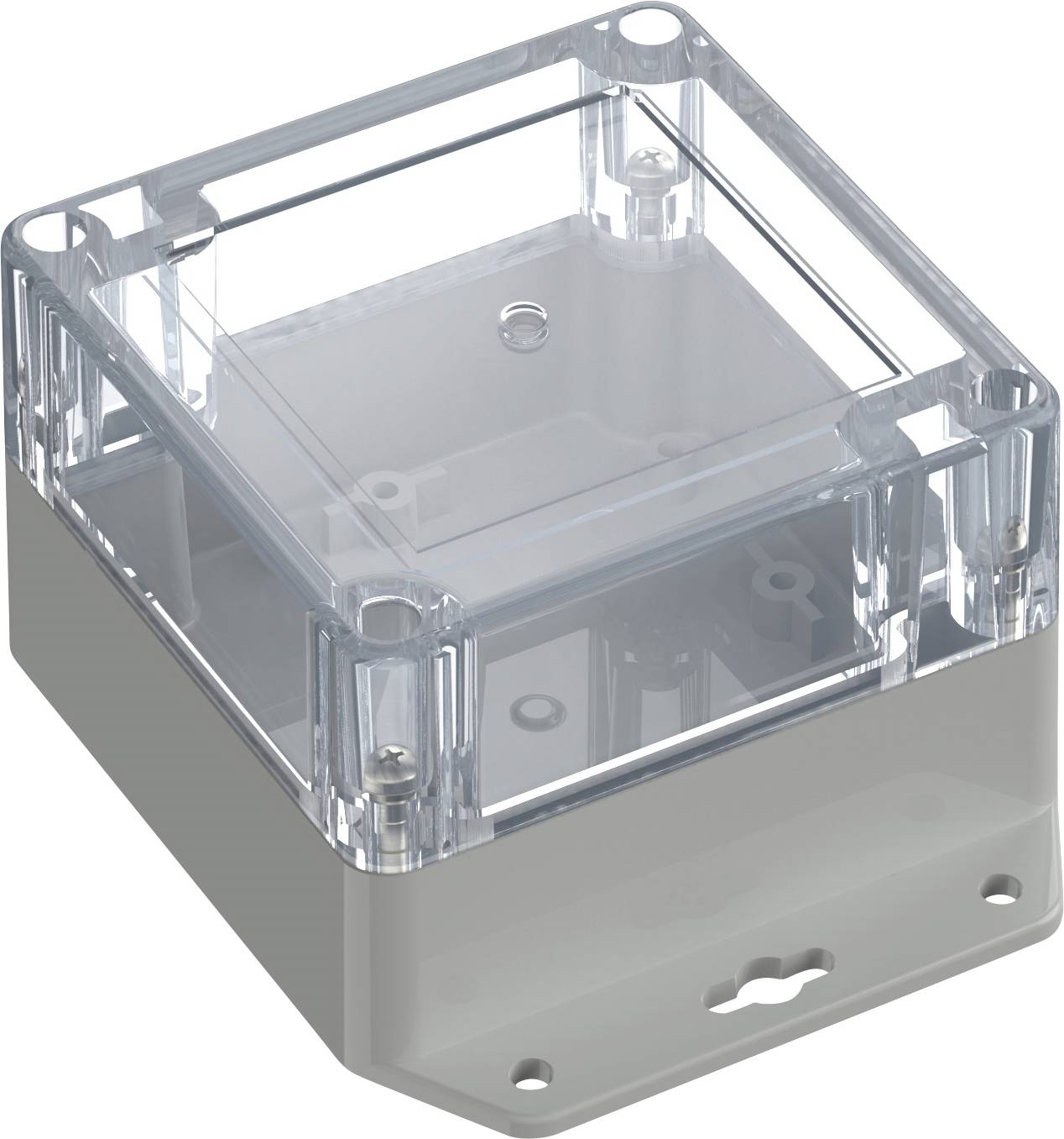 Ein transparenter Kunststoffgehäuse mit einem Deckel mit Scharnier, konzipiert zur Unterbringung von elektronischen Komponenten, mit Befestigungslöchern an der Unterseite.