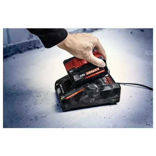 Bosch Professional 2x EXBA18V-80 + EXAL18V-160 1600A0373T Werkzeug-Akku und Ladegerät 8Ah Bosch Professional 2x EXBA18V-80 + EXAL18V-160 1600A0373T Werkzeug-Akku und Ladegerät 8Ah