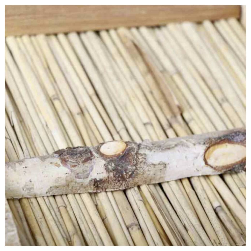 Siena Garden Vogelfutterhaus NICK aus Birke 1St.