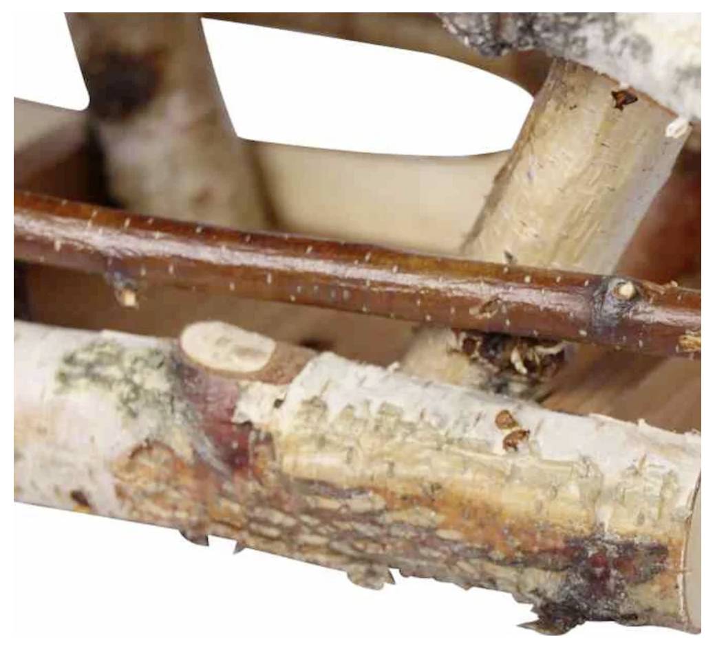 Siena Garden Vogelfutterhaus NICK aus Birke 1St.