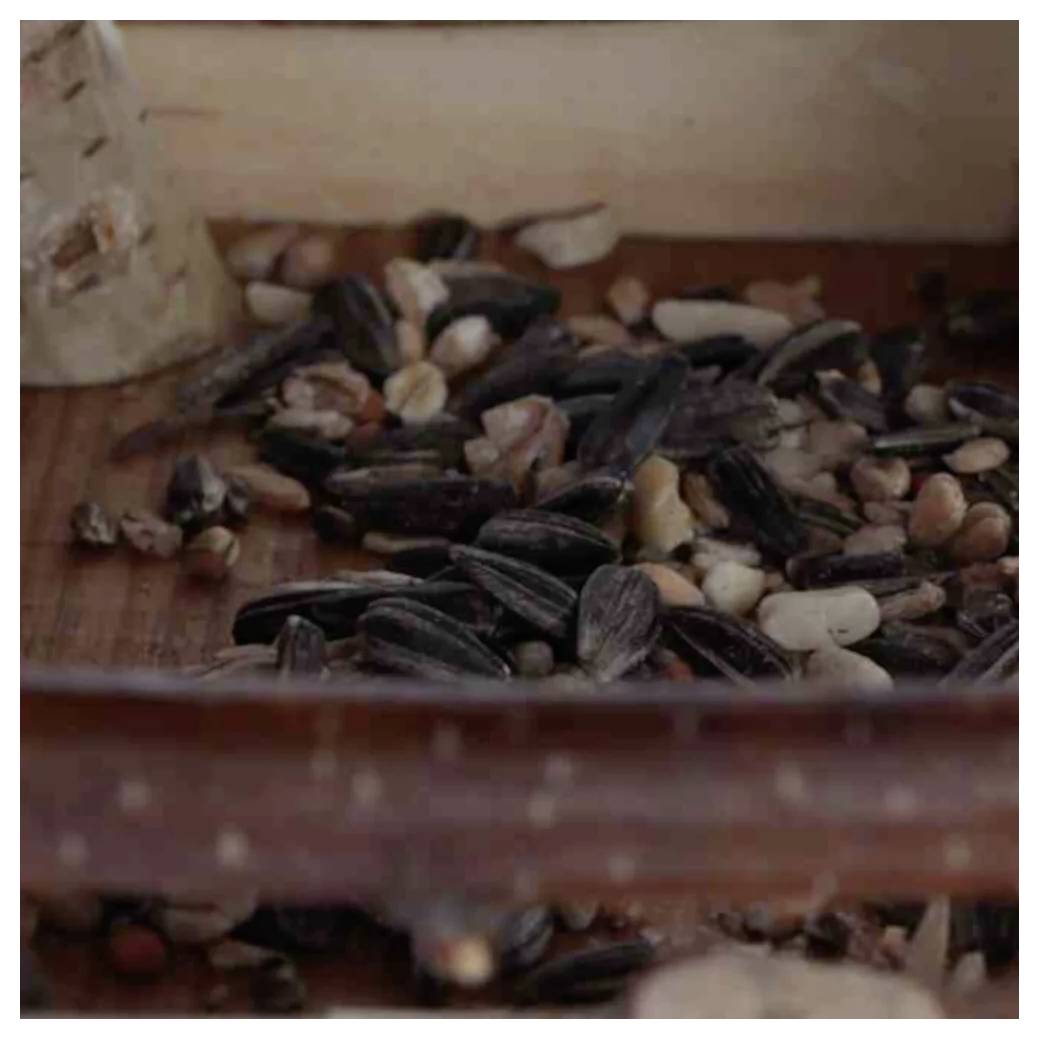 Siena Garden Vogelfutterhaus NICK aus Birke 1St.