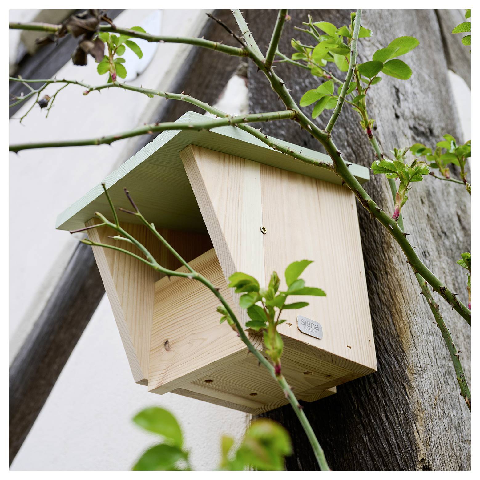 Siena Garden Nistkasten Nestperle LUKAS Halbhöhle, geeignet für Rotkehlchen, Amsel, Zaunkönig, Bachstelze 1St.