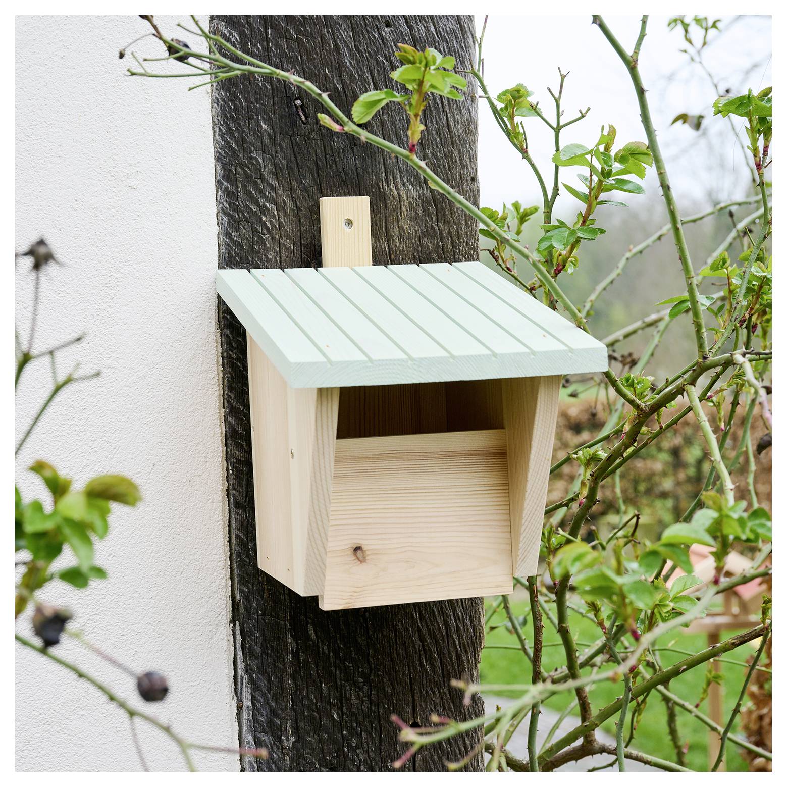 Siena Garden Nistkasten Nestperle LUKAS Halbhöhle, geeignet für Rotkehlchen, Amsel, Zaunkönig, Bachstelze 1St.