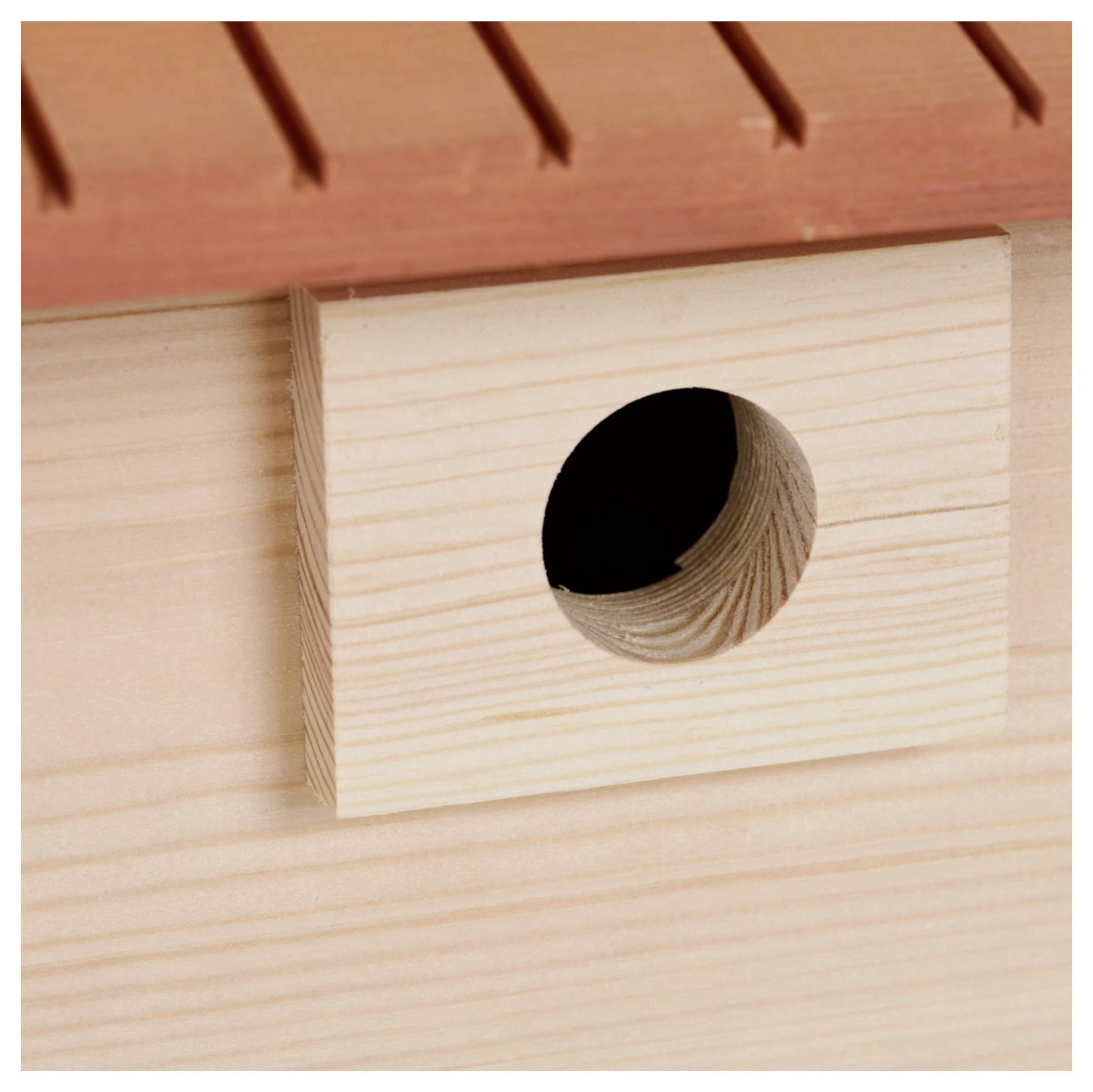 Siena Garden Spatzen Nistkasten PAULA 1St.