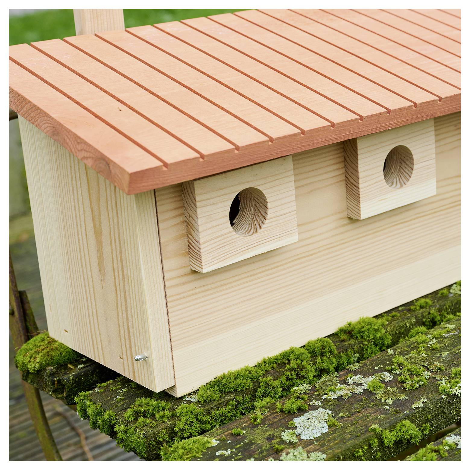 Siena Garden Spatzen Nistkasten PAULA 1St.