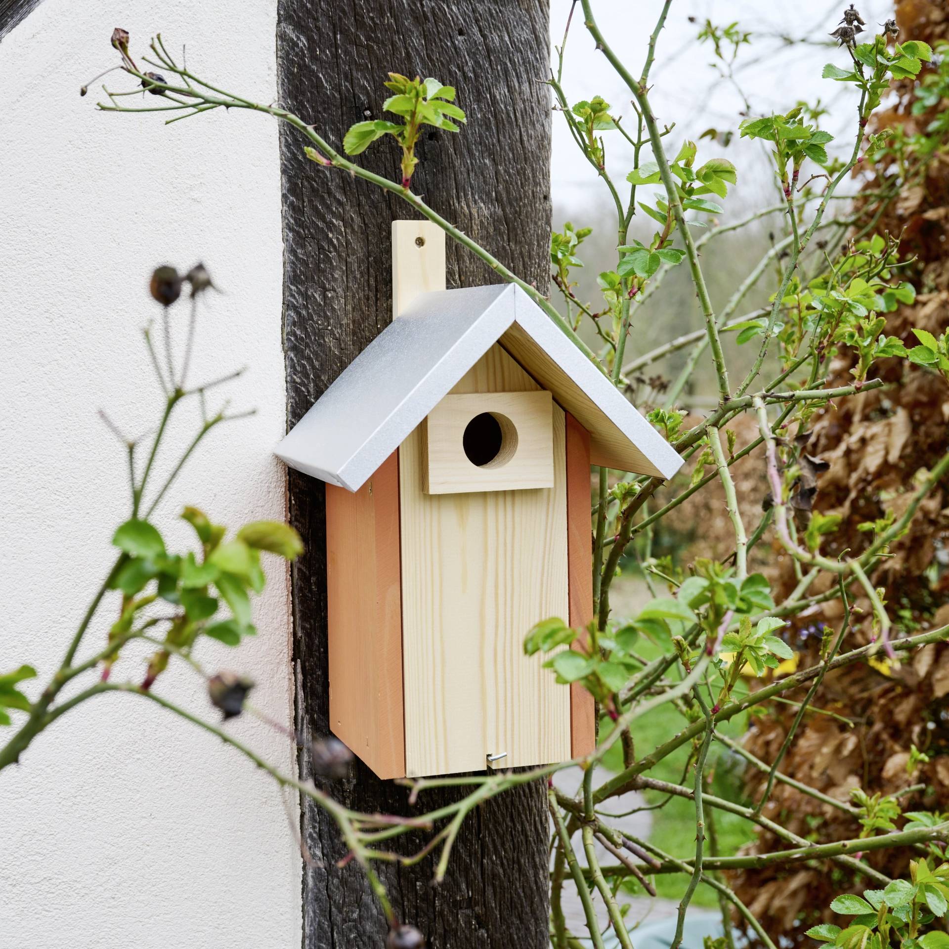 Siena Garden Nistkasten Nestperle KATI Lochgröße 34mm, geeignet für Haus-/ Feldsperling, Kleiber, Gartenrotschwanz 1St.