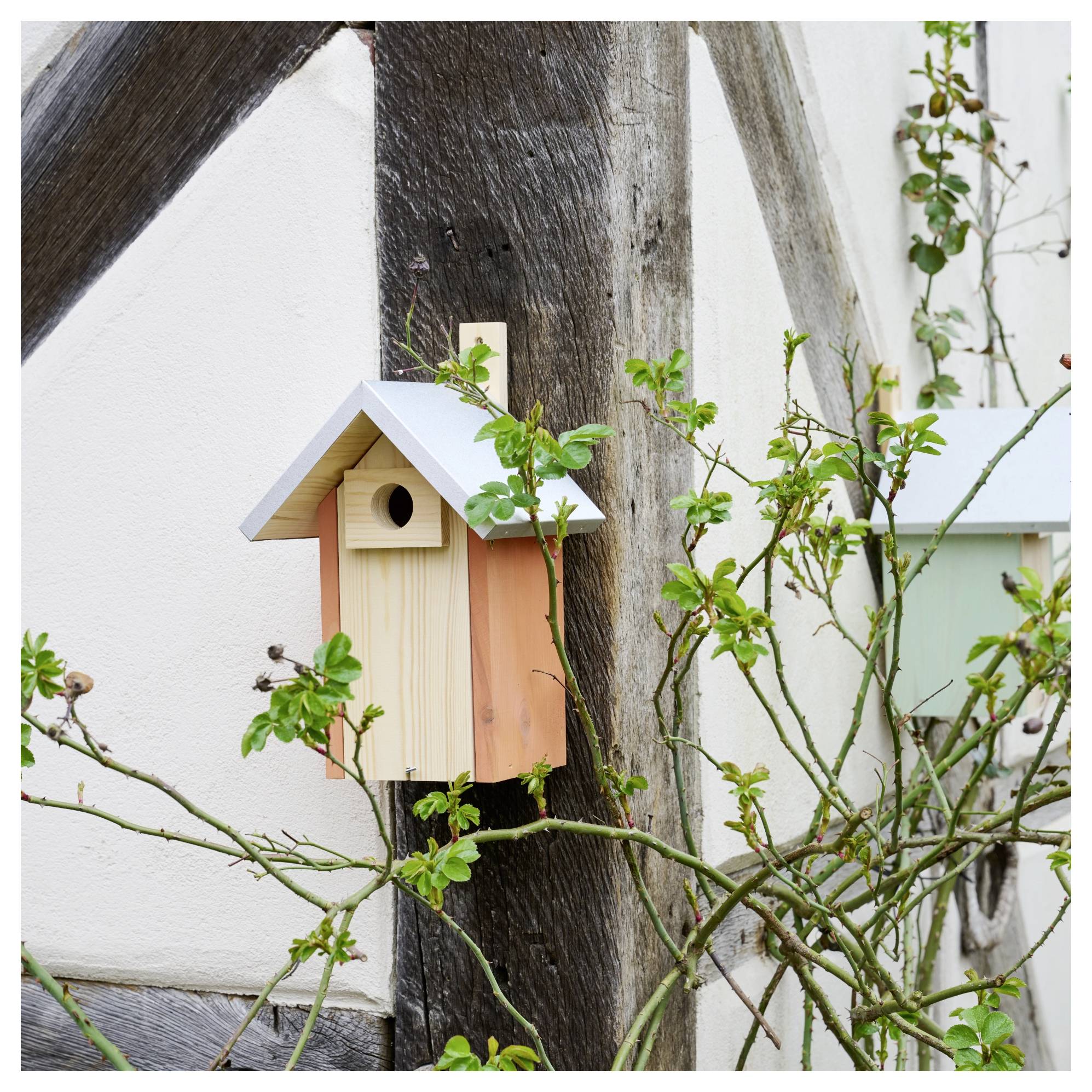Siena Garden Nistkasten Nestperle KATI Lochgröße 34mm, geeignet für Haus-/ Feldsperling, Kleiber, Gartenrotschwanz 1St.