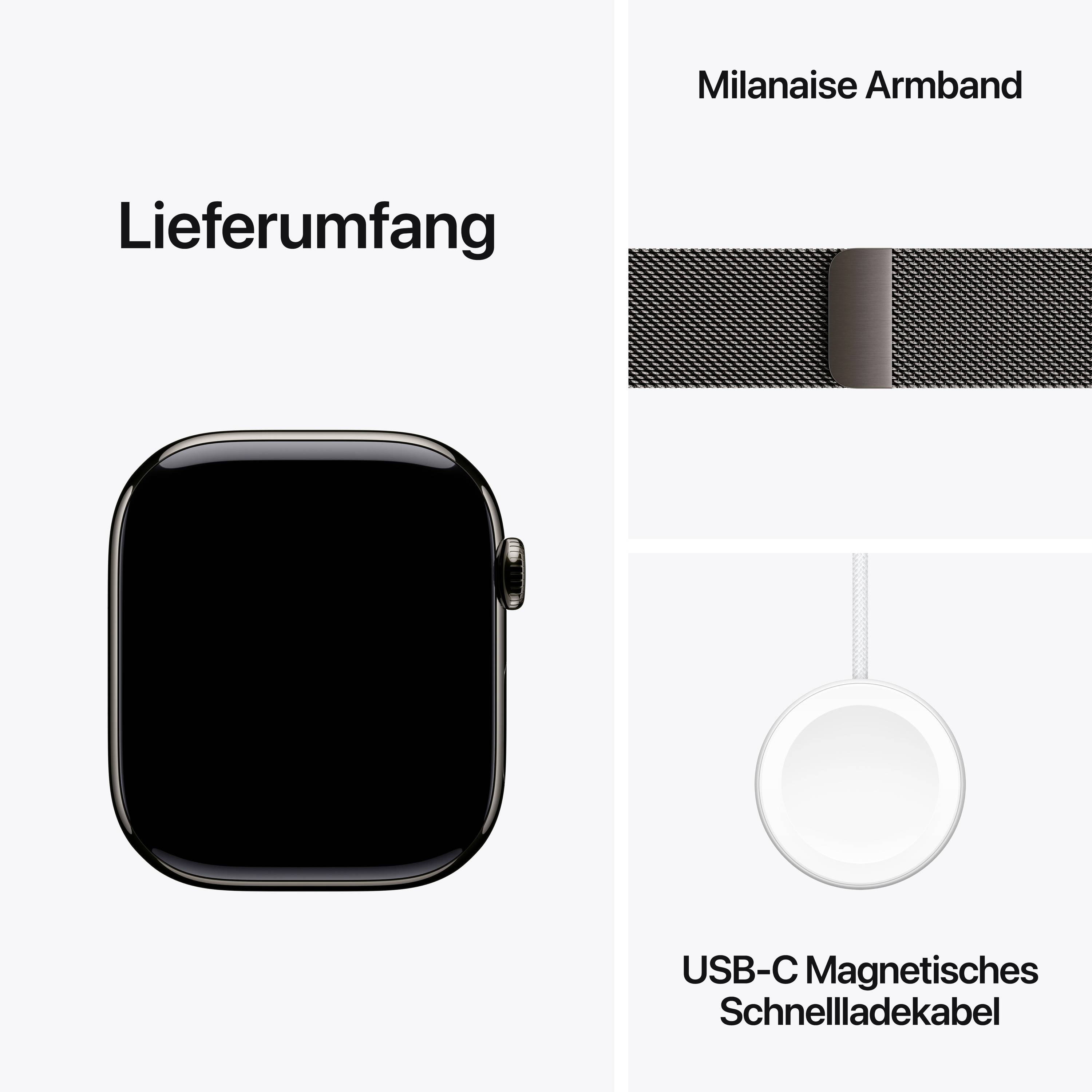 Apple Watch Series 11 GPS + Cellular 46 mm Titangehäuse Milanese Loop Schiefer S/M