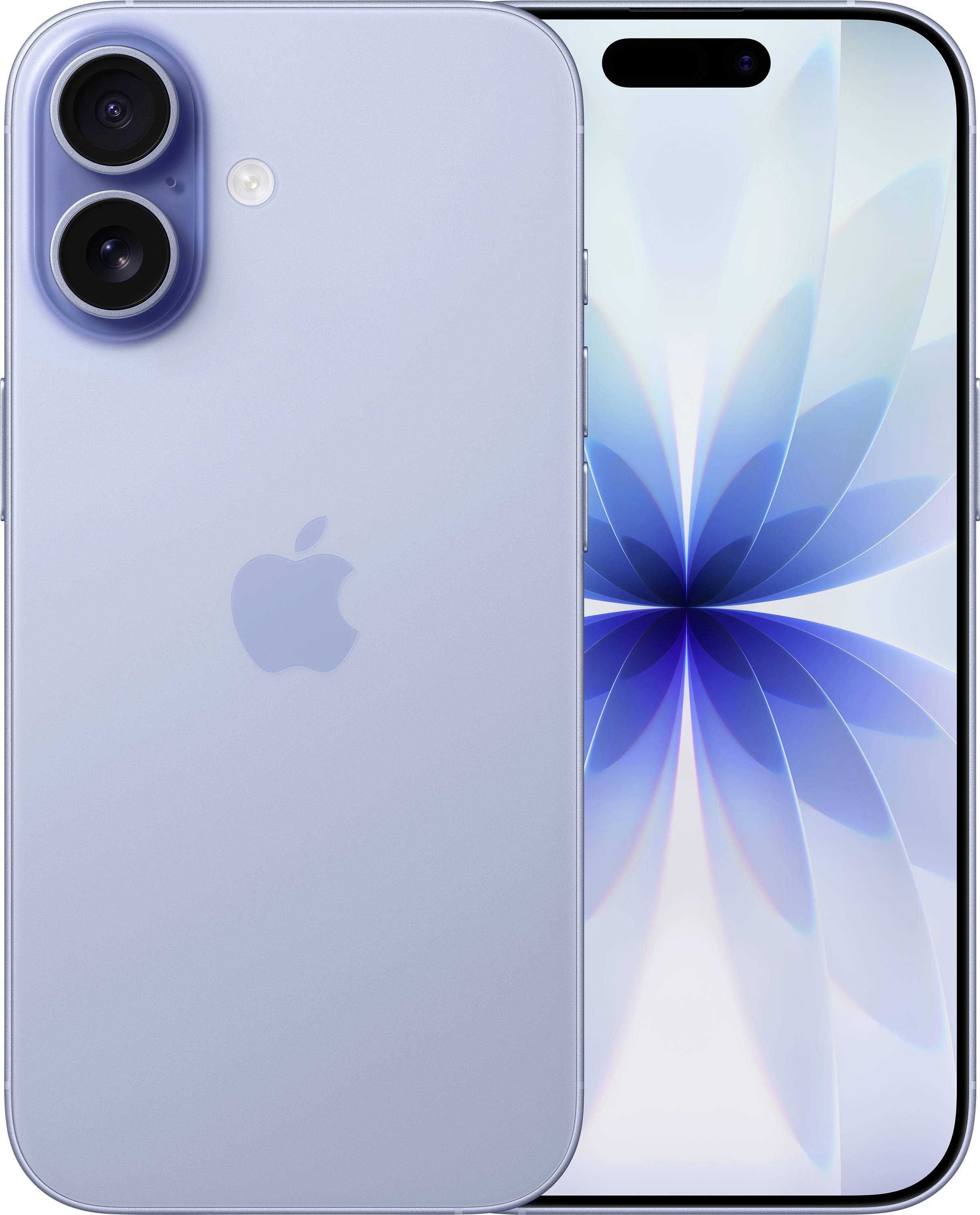 Ein blaues Smartphone, Frontdisplay zeigt eine blaue Blume auf hellem Hintergrund, und Rückseite mit zwei Kameras und Apple-Logo.