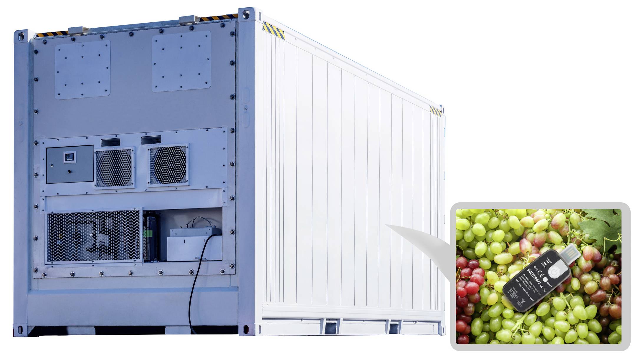 Gekühlter Versandcontainer mit einer Nahaufnahme von Trauben und einem Datenlogger, die Temperaturkontrolle für den Produkttransport hervorhebend.