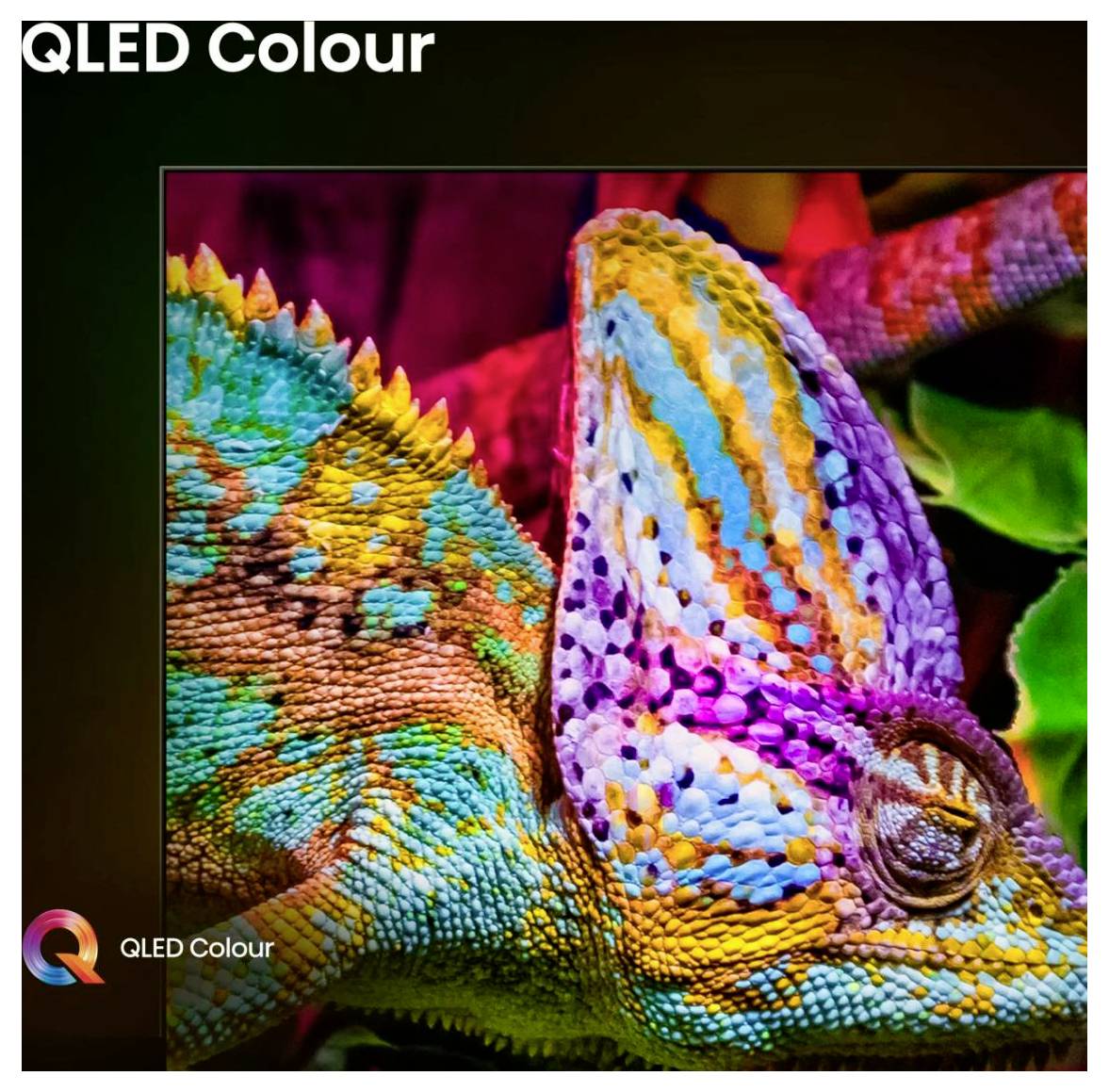 Eine Nahaufnahme eines bunten Chamäleons, das lebendige Hautmuster in Orange, Blau und Grün präsentiert und damit die QLED-Farbtechnologie hervorhebt.