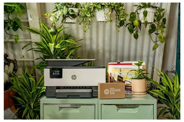 Ein Drucker und eine 'HP Instant Ink'-Box stehen auf einem grünen Schrank, umgeben von verschiedenen Topfpflanzen, in einem Arbeitsbereich mit einer wellblechverkleideten Wand.