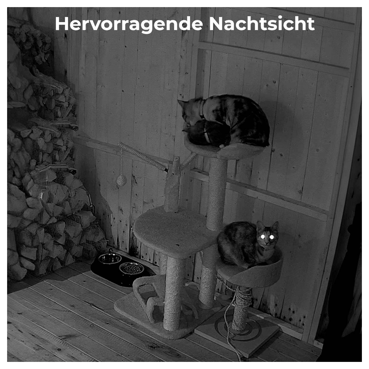 Reolink E330 WCEP5MP04PTW WLAN IP Überwachungskamera