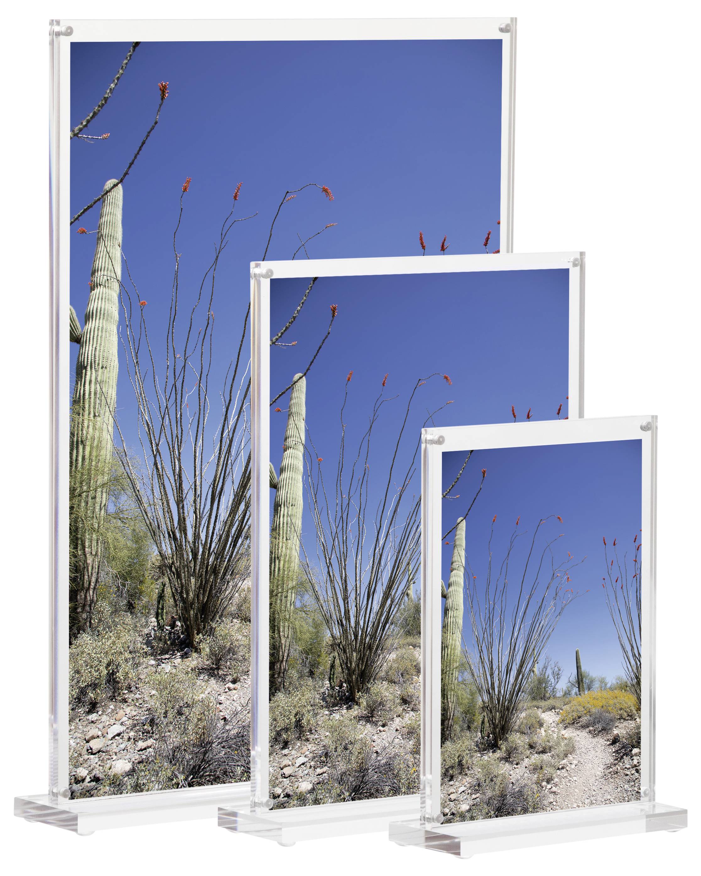 Maul 1948005 MAULvision Tischaufsteller T-Form Verwendung für Papierformat: DIN A6 Transparent 1St.