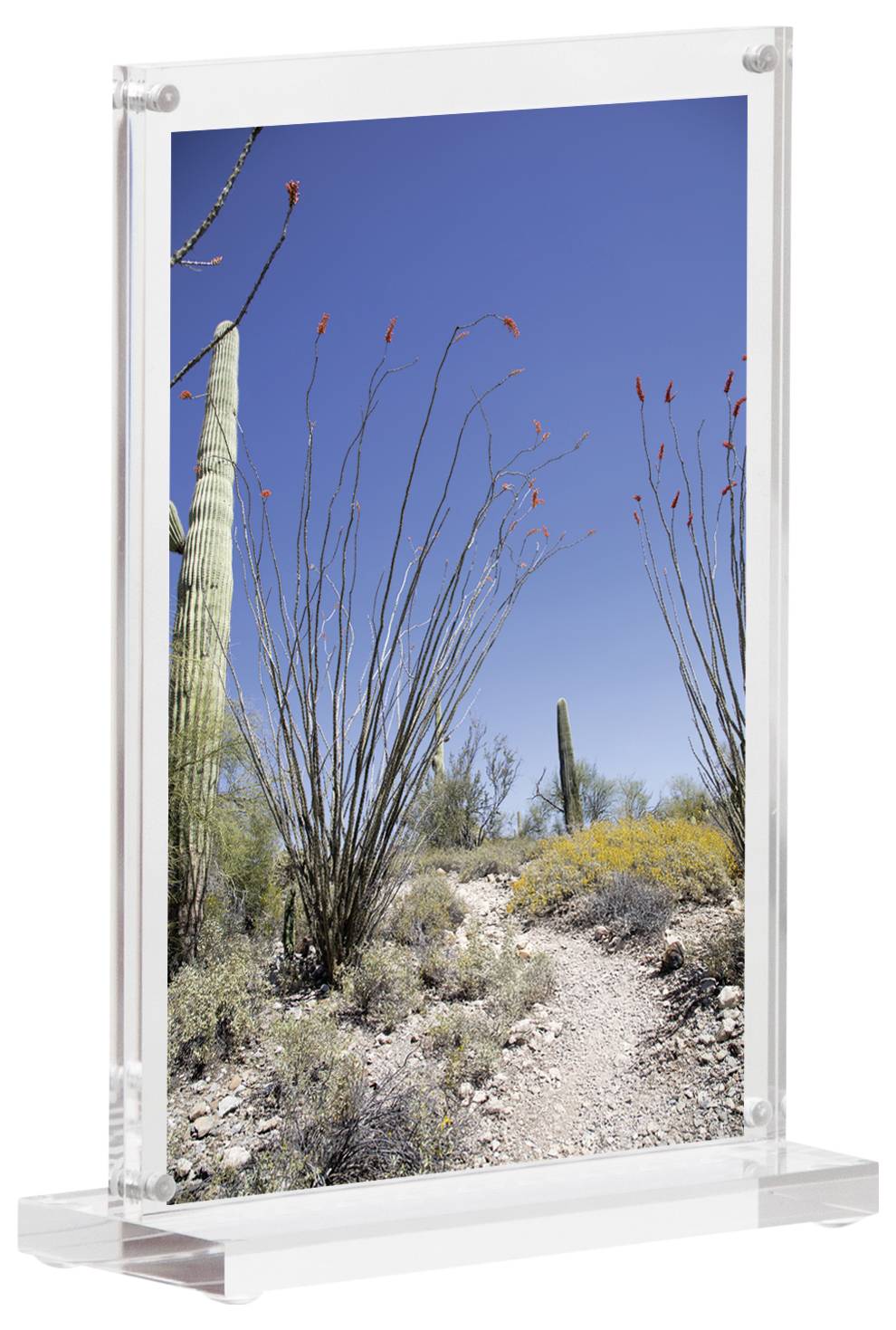 Maul 1948005 MAULvision Tischaufsteller T-Form Verwendung für Papierformat: DIN A6 Transparent 1St.