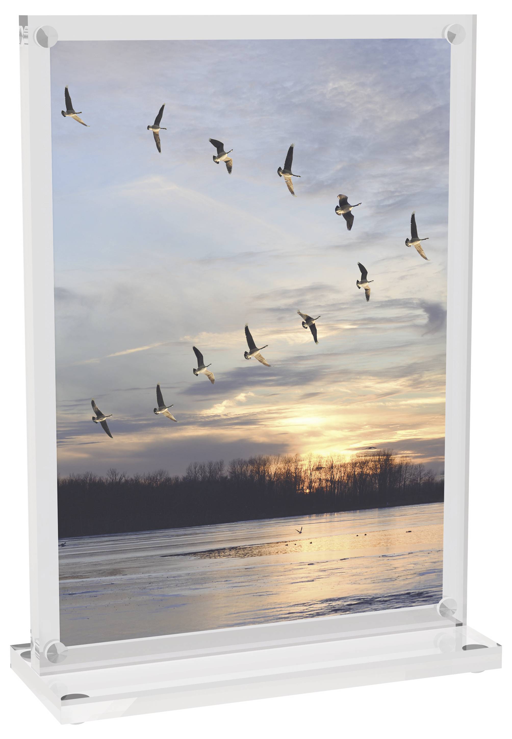 Maul 1948005 MAULvision Tischaufsteller T-Form Verwendung für Papierformat: DIN A6 Transparent 1St.