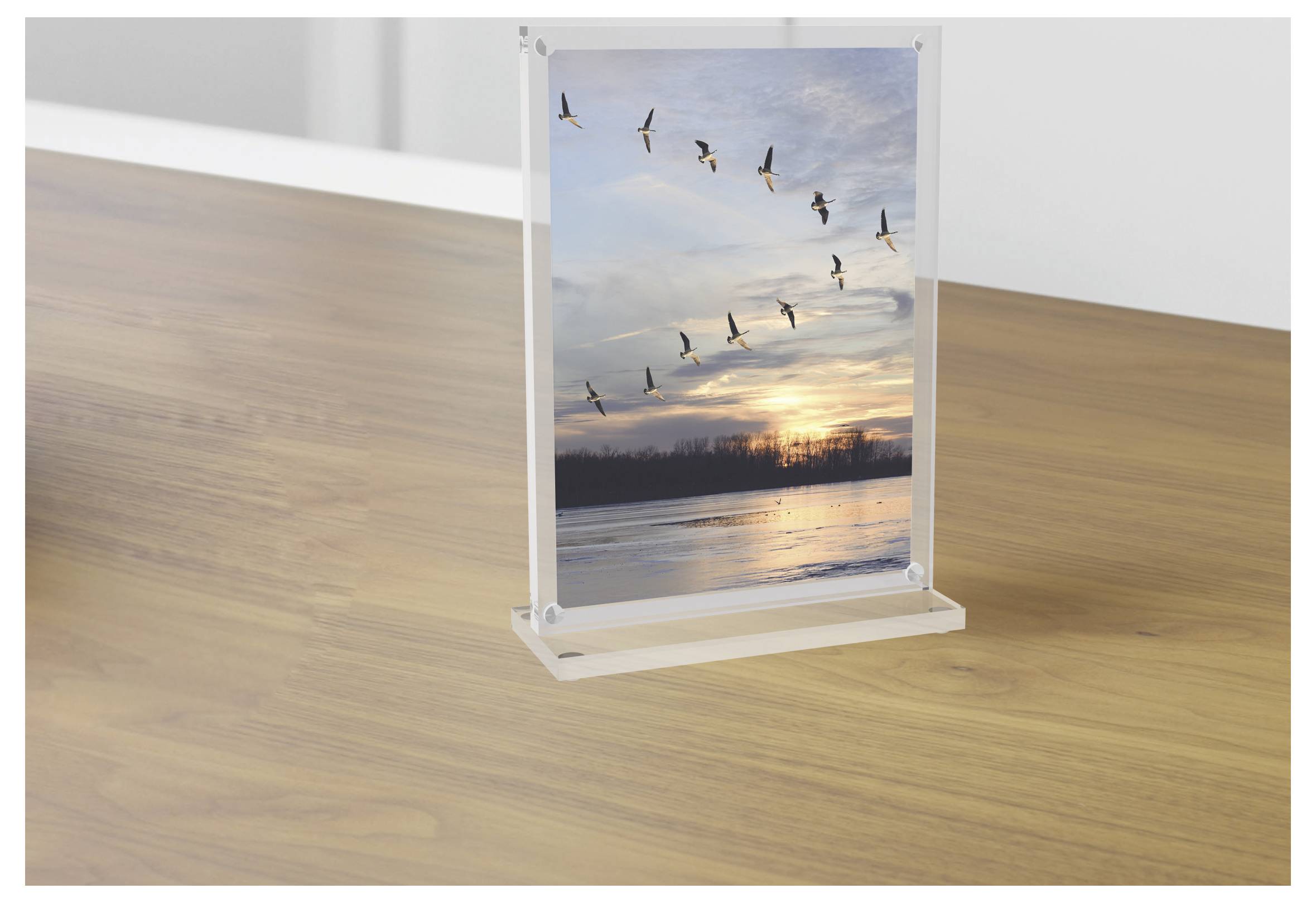 Maul 1948005 MAULvision Tischaufsteller T-Form Verwendung für Papierformat: DIN A6 Transparent 1St.