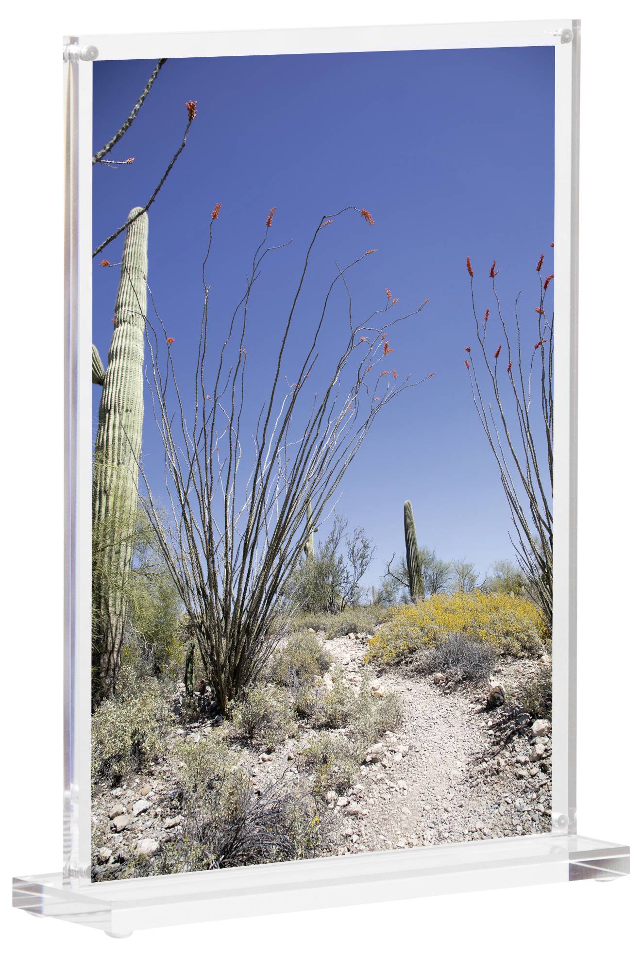 Maul 1948205 MAULvision Tischaufsteller T-Form Verwendung für Papierformat: DIN A5 Transparent 1St.