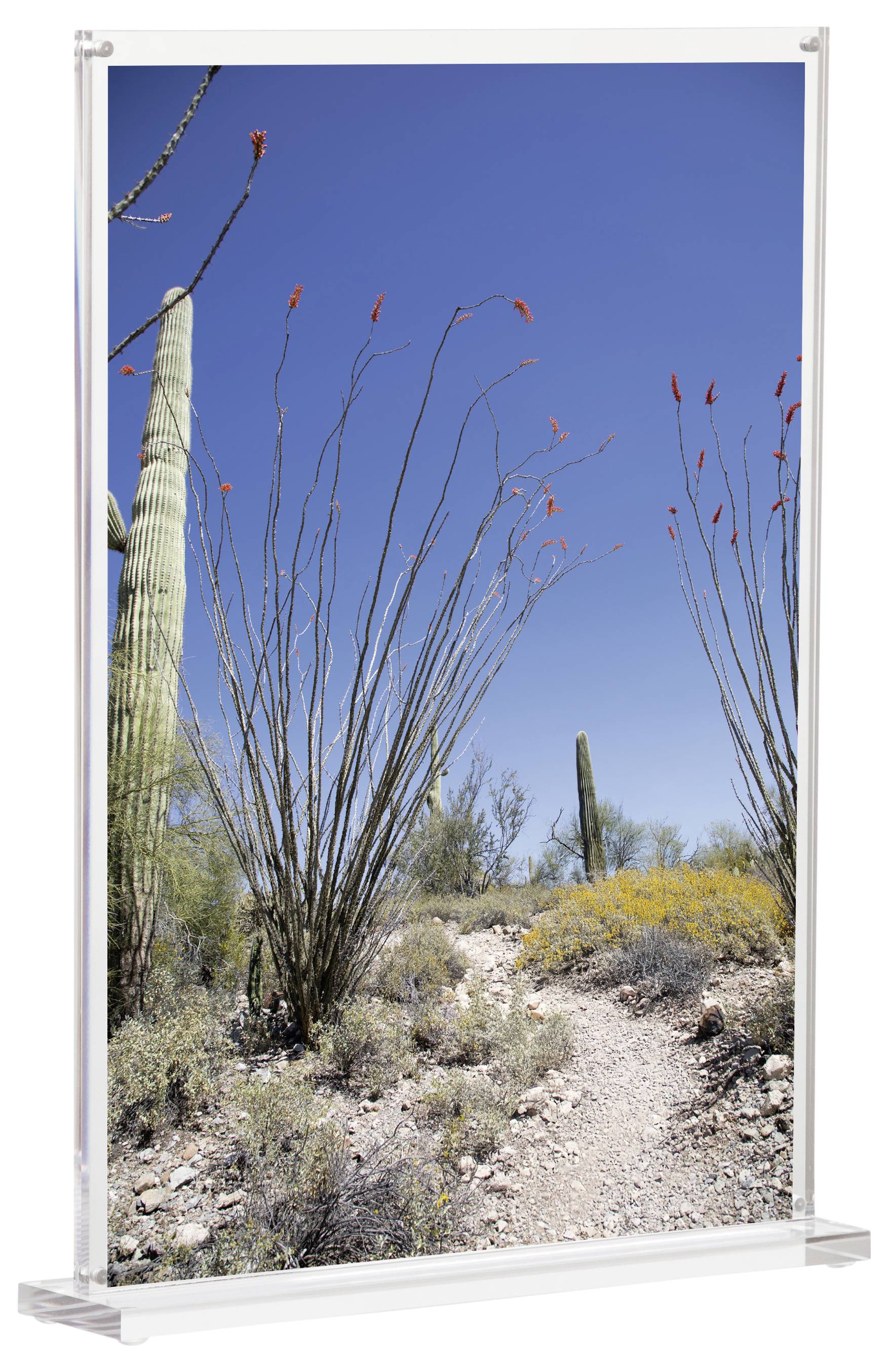 Maul 1948405 MAULvision Tischaufsteller T-Form Verwendung für Papierformat: DIN A4 Transparent 1St.