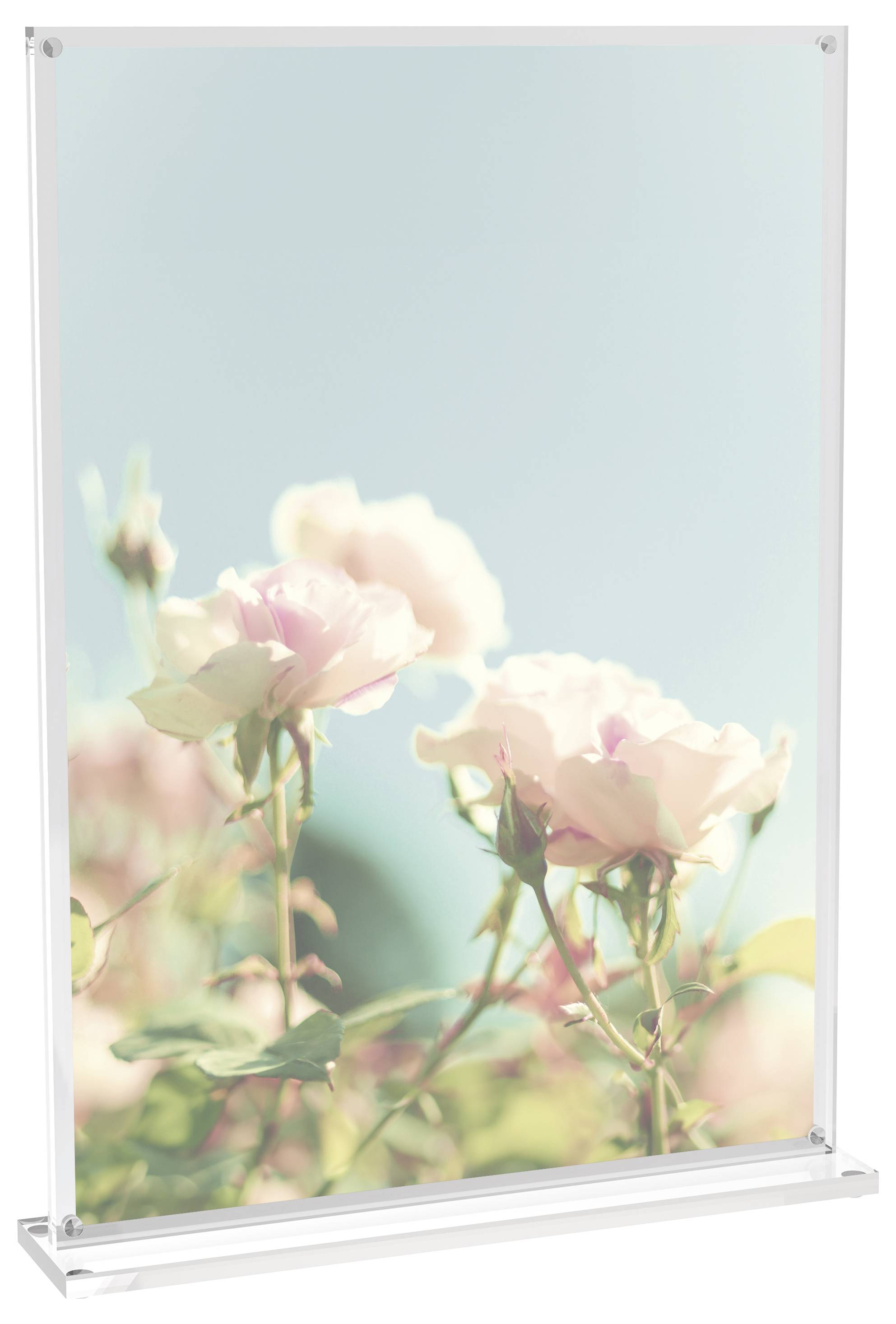 Maul 1948405 MAULvision Tischaufsteller T-Form Verwendung für Papierformat: DIN A4 Transparent 1St.