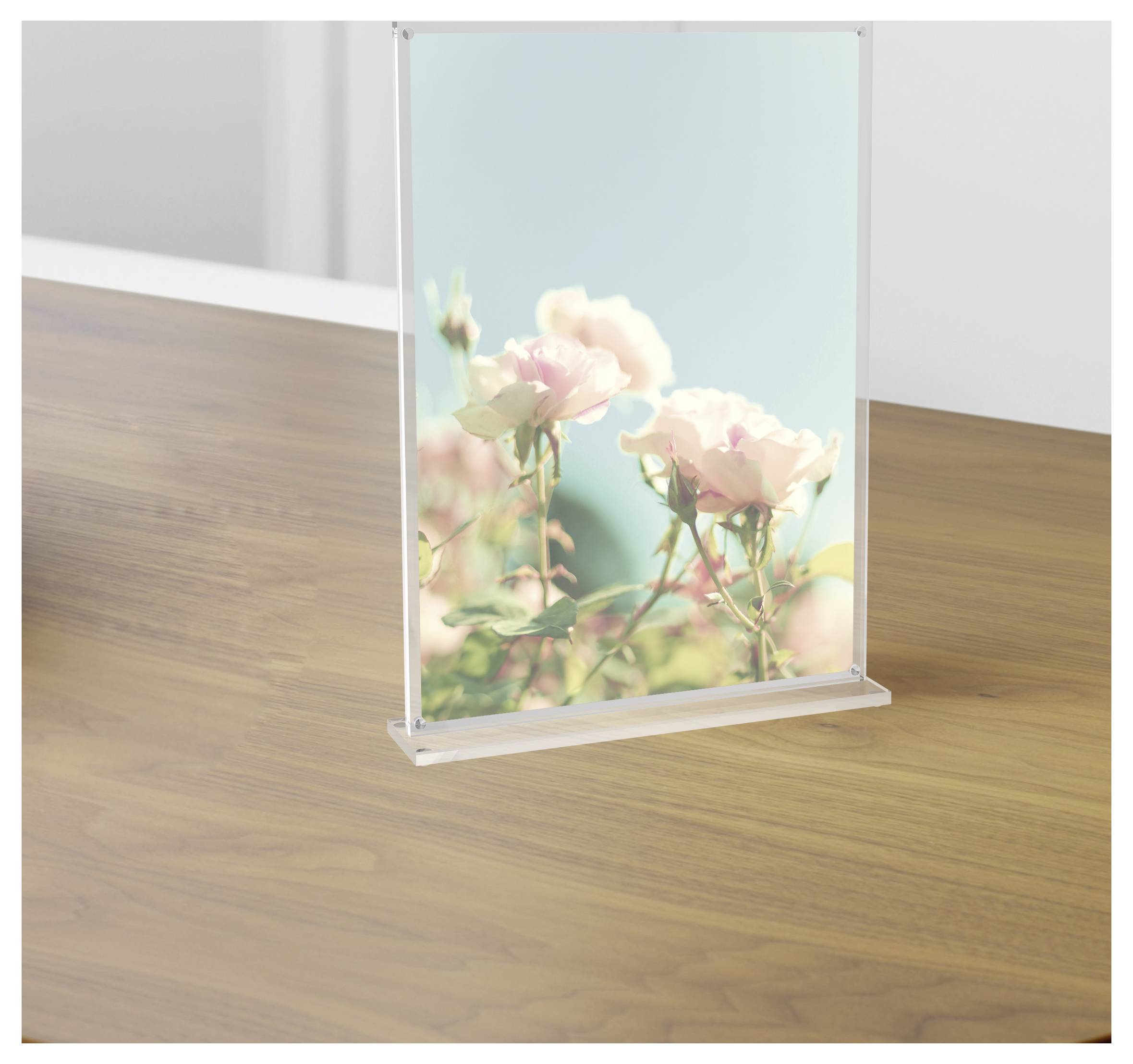 Maul 1948405 MAULvision Tischaufsteller T-Form Verwendung für Papierformat: DIN A4 Transparent 1St.