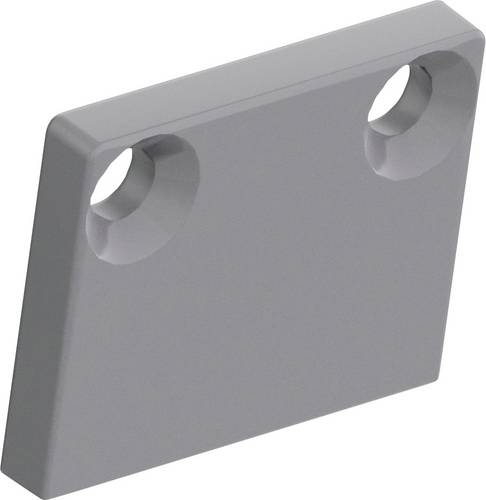 Barthelme 62378007 Endkappen-Set Kunststoff (L x B x H) 2 x 15 x 12 mm Bag 2 St.