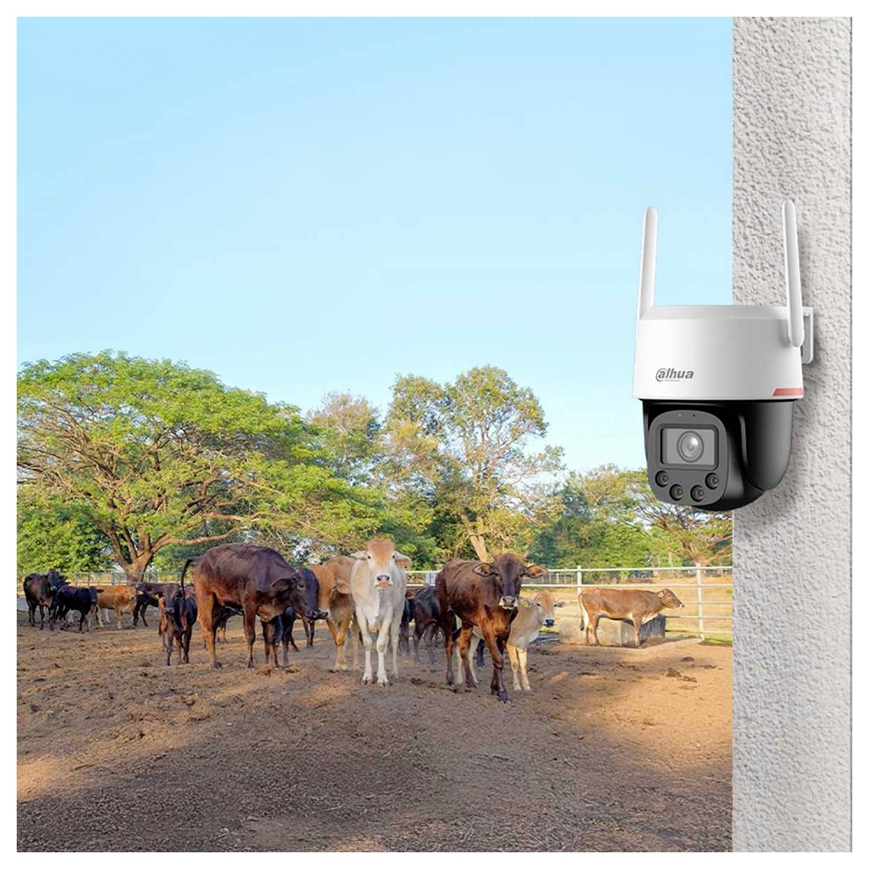 Eine Sicherheitskamera überwacht eine Gruppe von Kühen, die in einem eingezäunten Bereich unter einem klaren blauen Himmel weiden und so die Überwachung in ländlichen Gebieten veranschaulicht.