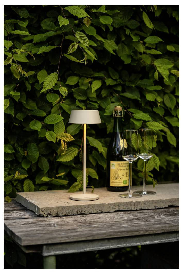 Eine kleine Lampe und zwei Weingläser auf einem Holztisch neben einer Weinflasche, mit üppigem grünem Laub im Hintergrund.