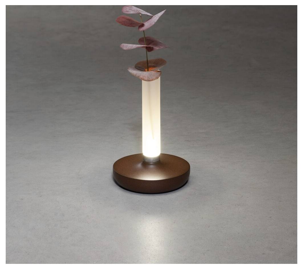Eine minimalistische Lampe mit einer leuchtenden zylindrischen Basis trägt einen einzelnen Stängel mit rosa Blättern. Die Lampe steht auf einer schlichten grauen Oberfläche.