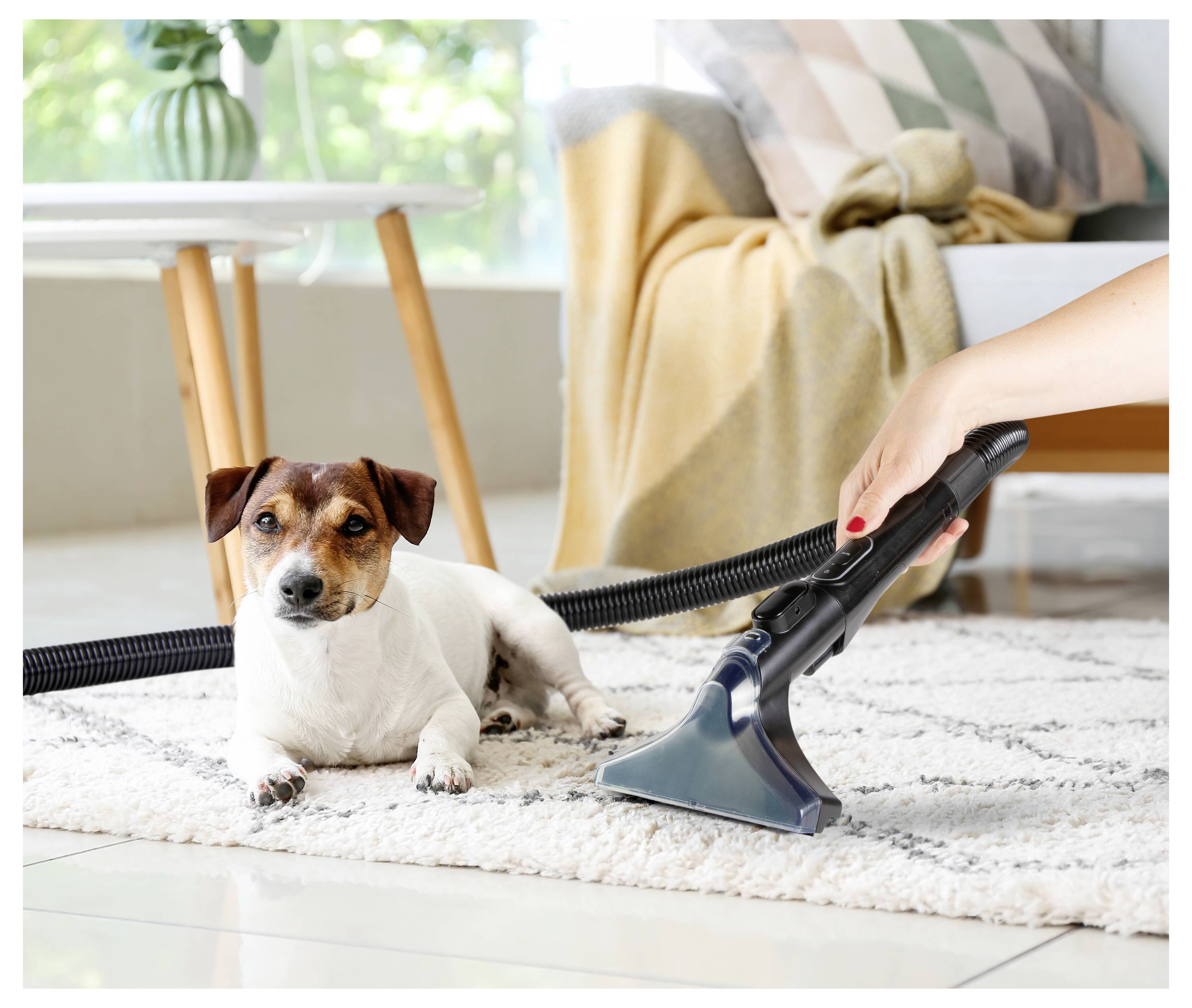 DOMO MULTIFUNKTIONALER FLECKENREINIGER Dampfreiniger DO250SC 600W Grün 2 Wassertanks