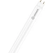 LEDVANCE LED-Röhre EEK: D (A - G) G13 Röhrenform T8 24W Warmweiß (Ø x L) 28.00mm x 1513.00mm 1St. LEDVANCE LED-Röhre EEK: D (A - G) G13 Röhrenform T8 24W Warmweiß (Ø x L) 28.00mm x 1513.00mm 1St.