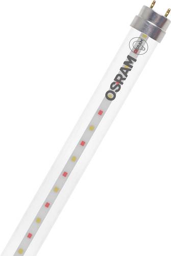 OSRAM LED-Pflanzenlampe LED TUBE T8 18 EM FLUORA 600 mm 6.6W 604.00 mm G13 6.6 W Warmweiß Röhrenfor